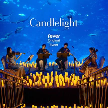 Candlelight A Tribute To Oasis At Sea Life Aquarium Concert In