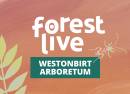 Westonbirt Arboretum