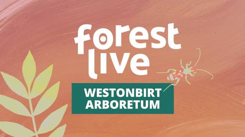 Westonbirt Arboretum