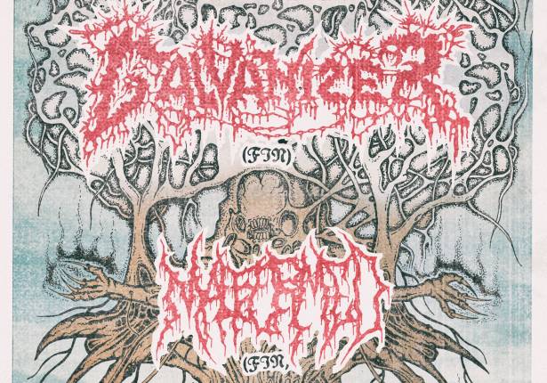 Galvanizer