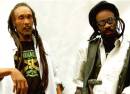 Israel Vibration