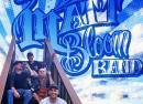 The Matt Bloom Band