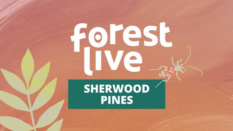 Sherwood Pines