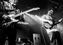 Martin Stephenson & the Daintees