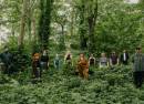Emergence Collective