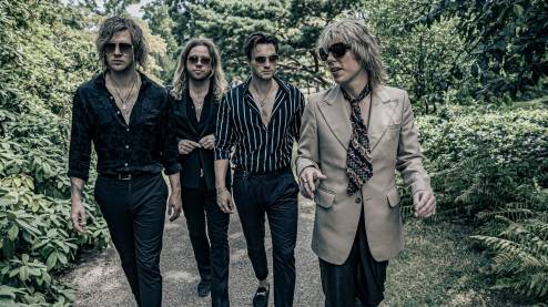 The Struts