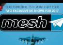 Mesh