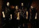 Phantom Limbs