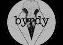 Byrdy