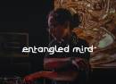 Entangled Mind