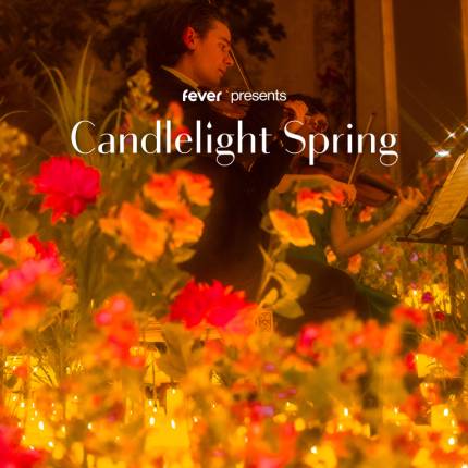 Candlelight Spring Tributo a Taylor Swift
