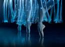 Ballet of Lights La Bella Durmiente en un espectáculo deslumbrante