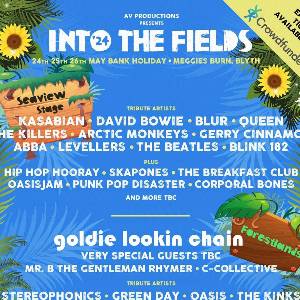 Into The Fields Blyth 2024
