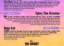 Coachella Music Festival