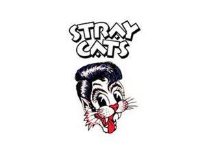 Stray Cats
