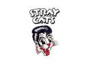 Stray Cats
