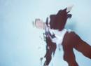 Seb Wildblood