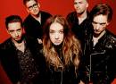 Marmozets