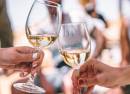Wine Tasting