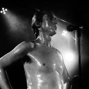 White Devil Disco