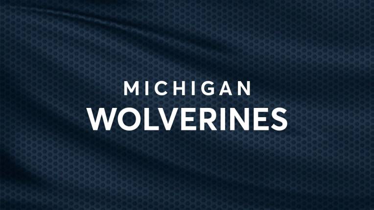 University of Michigan Wolverines Football