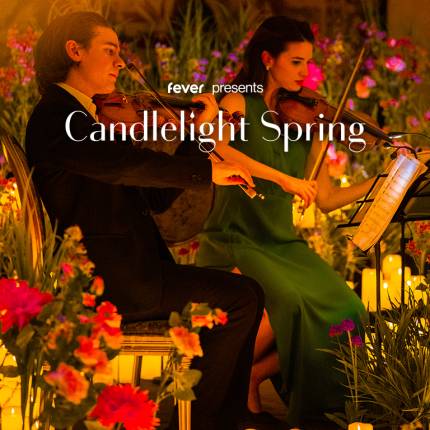 Candlelight Spring Neo-Soul Favorites ft. Songs by Prince, Childish Gambino, & More