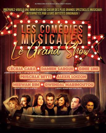 LES COMEDIES MUSICALES