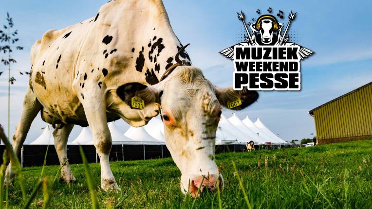 Muziekweekend Pesse