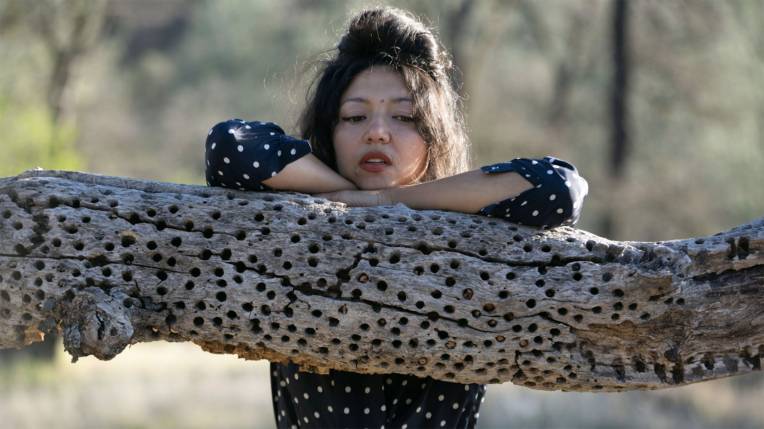 Shana Cleveland