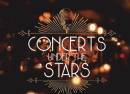 A Starlit Tribute to Stevie Nicks at Enzo's on the Lake