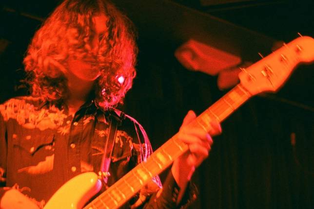 Indigo Fuzz