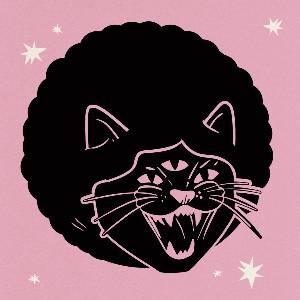 Disco Puss