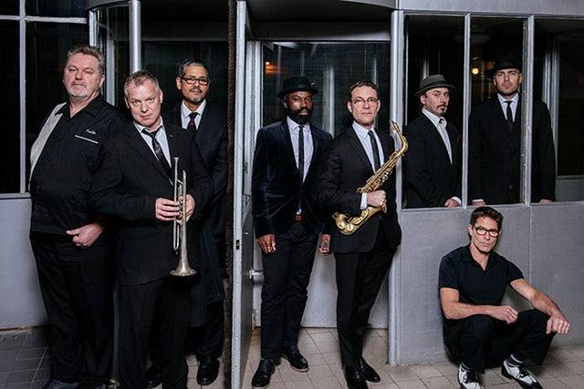 NEW COOL COLLECTIVE