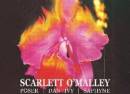 Scarlett O'Malley