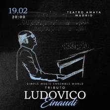 Ludovico Einaudi Tributo