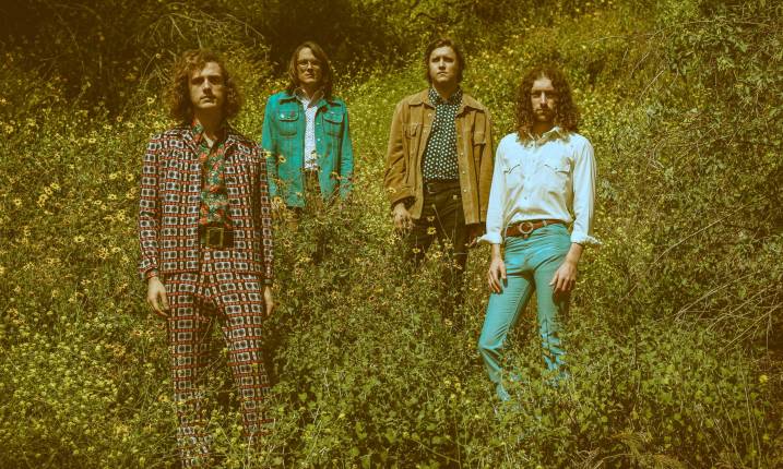 Triptides