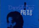 David Tao