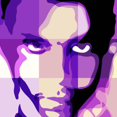 Prince -A Tribute to the music
