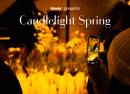 Candlelight Spring Tributo a Vasco Rossi