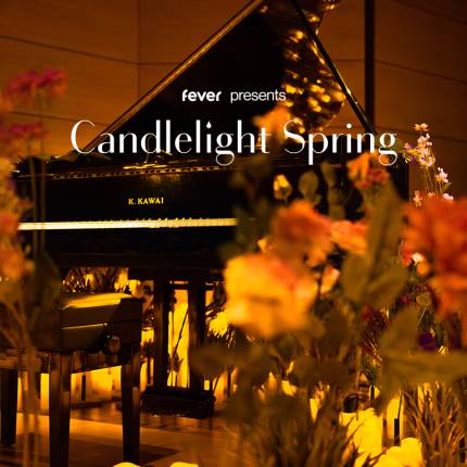 Candlelight Best of Beethoven in der Peterskirche