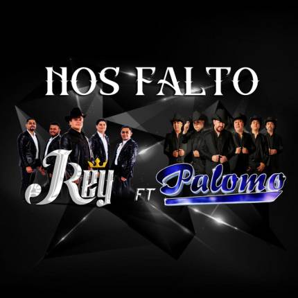 Grupo Palomo