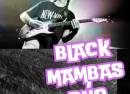 Versiones Rock en Acústico - Black Mambas Dúo
