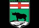Dust Rhinos