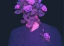 Yankee Roses