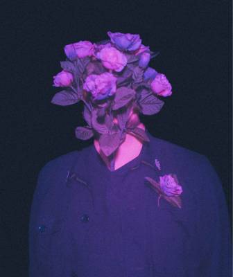 Yankee Roses