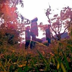 Foresta