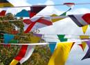 WERMLAND PRIDE