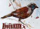 Avourneen