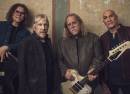 Gov't Mule