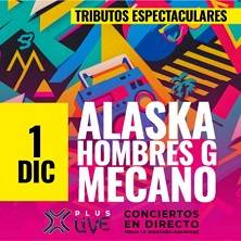 Espectacular Tributo a Mecano, Alaska y Hombres G